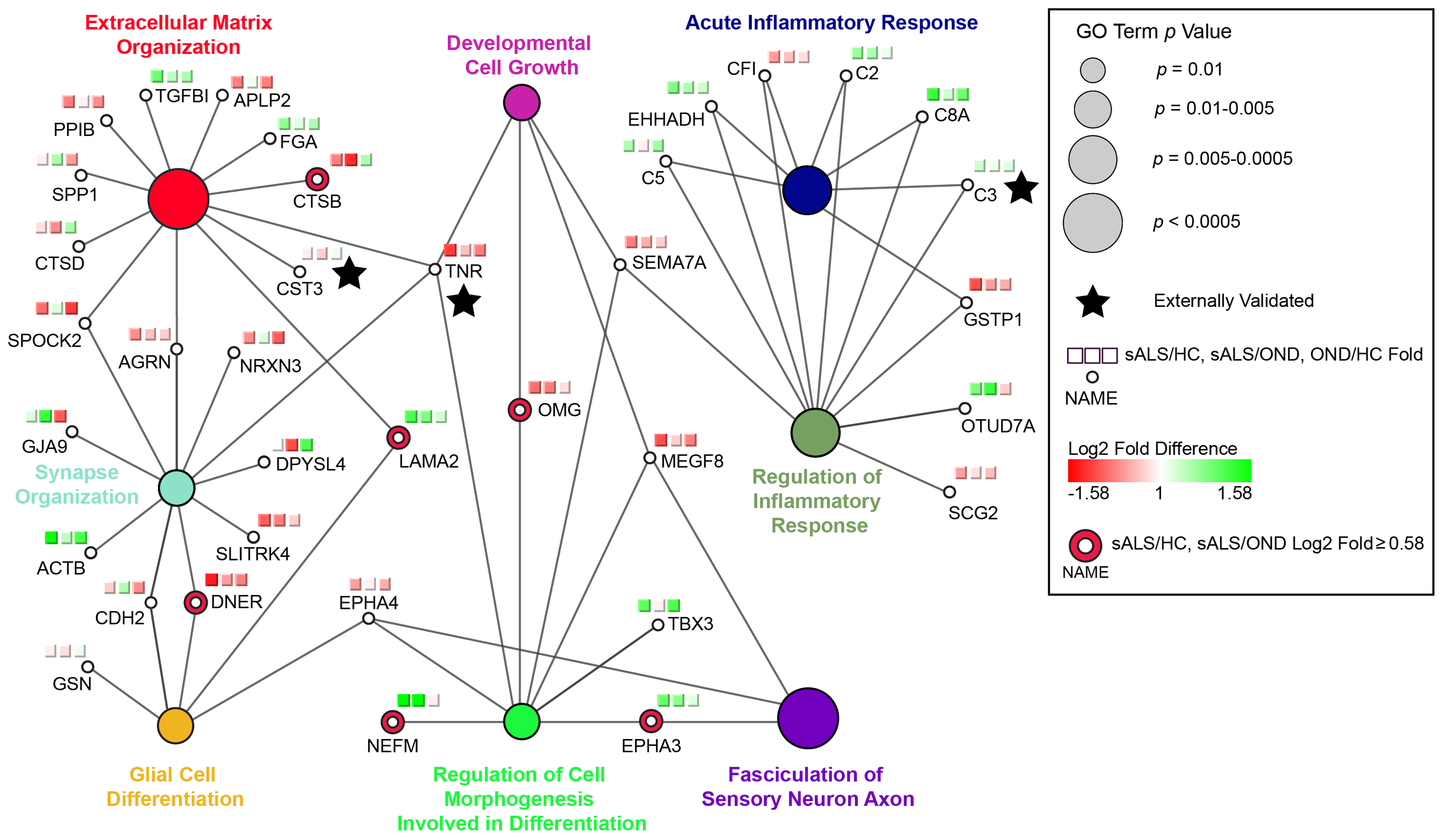 proteomic network